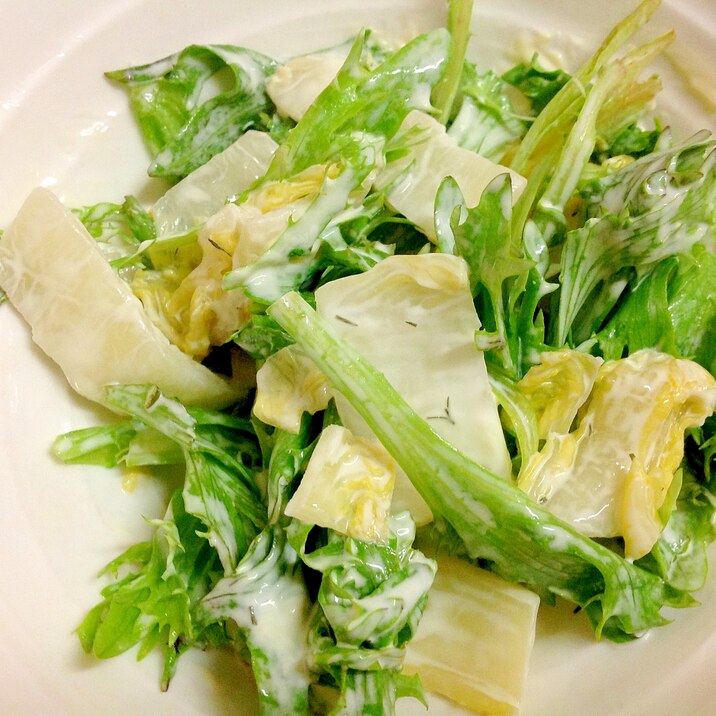 白菜の浅漬けと水菜とレタスのサラダ